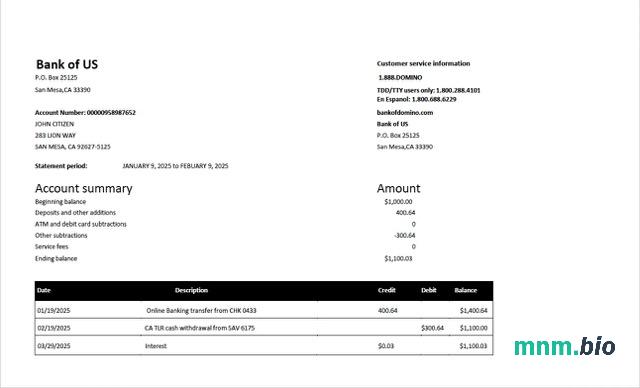 Szablon wyciągu z konta USA Bank Of Texas w programie Word i PDF